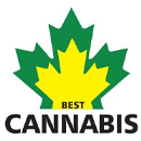 Best Cannabis