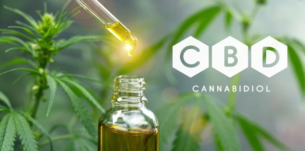 What is CBD? A Comprehensive Introduction